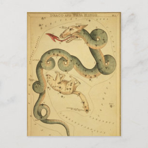 Vintage astronomy print Draco & Ursa Minor Postcard