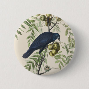 Vintage Audubon American Crow Bird Nature Art 2 Inch Round Button