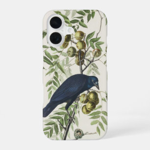 Vintage Audubon American Crow Bird Nature Art iPhone 16 Case