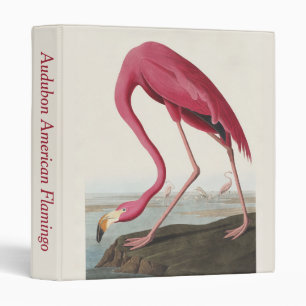 Vintage Audubon American Flamingo Pink Bird Art Binder