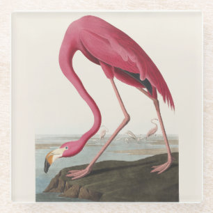 Vintage Audubon American Flamingo Pink Bird Art Glass Coaster