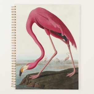 Vintage Audubon American Flamingo Pink Bird Art Planner