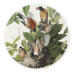 Vintage Audubon American Robin Bird Nest Art Ceramic Knob