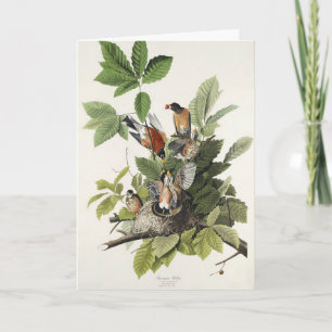 Vintage Audubon American Robin Bird Nest Art Holiday Card