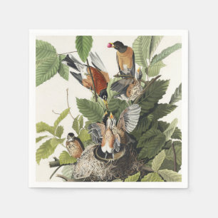 Vintage Audubon American Robin Bird Nest Art Napkin