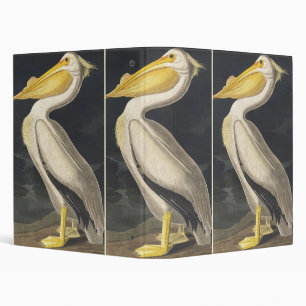 Vintage Audubon American White Pelican Bird Art Binder