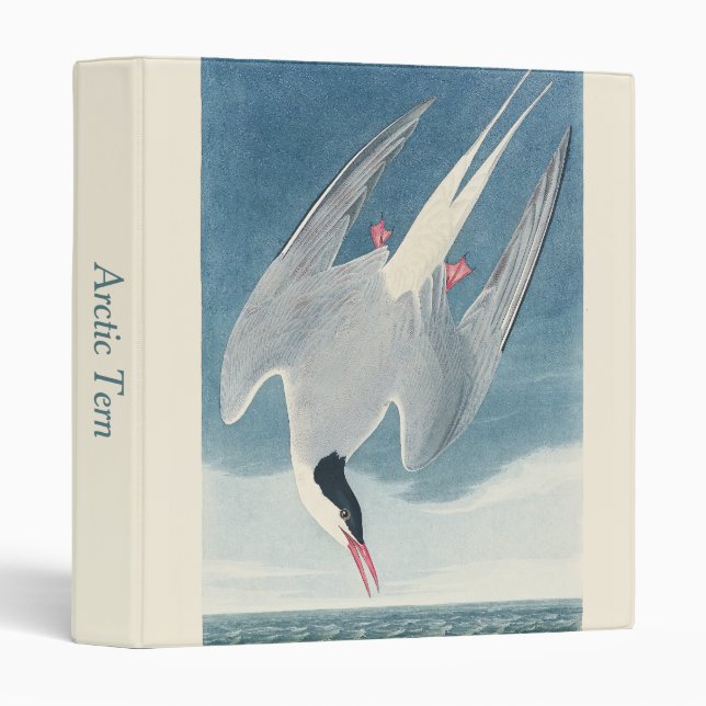 Vintage Audubon Arctic Tern Coastal Bird Art Binder (Front/Spine)