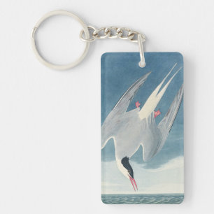 Vintage Audubon Arctic Tern Coastal Bird Art Keychain