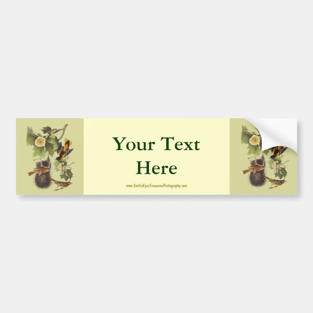 Vintage Audubon Birds Orioles Bumper Sticker (Front)