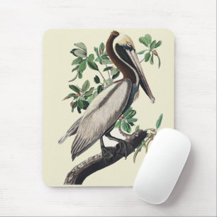 Vintage Audubon Brown Pelican Coastal Bird Art Mouse Pad