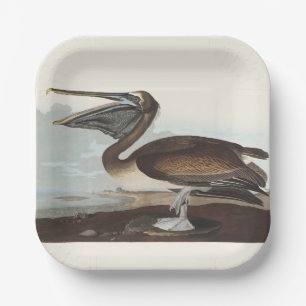 Vintage Audubon Brown Pelican Coastal Bird Art Paper Plate