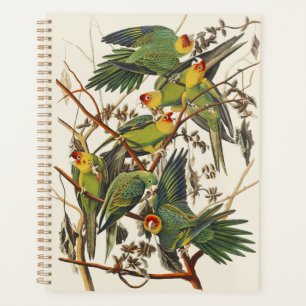 Vintage Audubon Carolina Parakeet Bird Art Planner