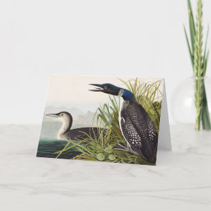 Vintage Audubon Common Loon Bird Nature Art Thank You Card