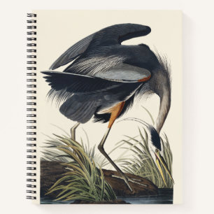 Vintage Audubon Great Blue Heron Bird Nature Art Notebook