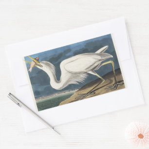 Vintage Audubon Great White Heron Bird Art Sticker