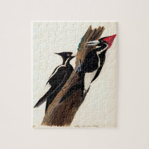 Vintage Audubon Ivory-billed Woodpecker Painting Jigsaw Puzzle