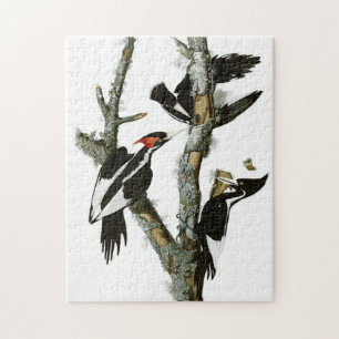 Vintage Audubon Ivory-billed Woodpecker Painting Jigsaw Puzzle