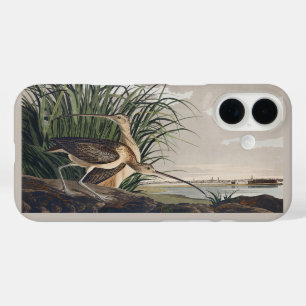 Vintage Audubon Long-billed Curlew Bird Art iPhone 16 Case