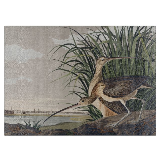 Vintage Audubon Long-billed Curlew Bird Art Cutting Board (Front)