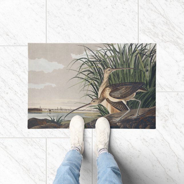 Vintage Audubon Long-billed Curlew Bird Art Doormat (Indoor)