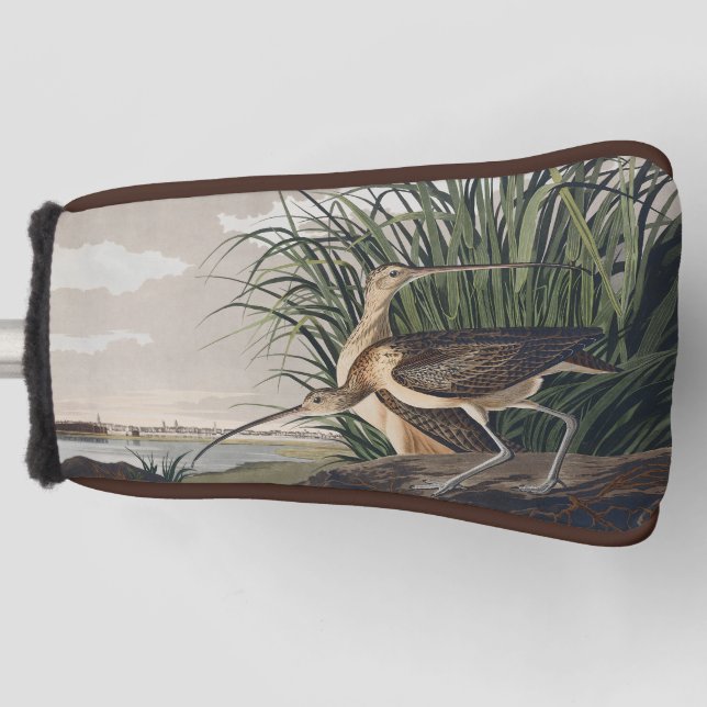 Vintage Audubon Long-billed Curlew Bird Art Golf Head Cover (Front)
