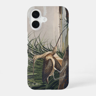 Vintage Audubon Long-billed Curlew Bird Art iPhone 16 Case