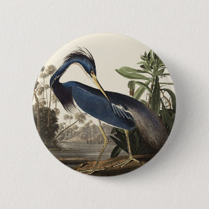 Vintage Audubon Louisiana Heron Bird Art 2 Inch Round Button
