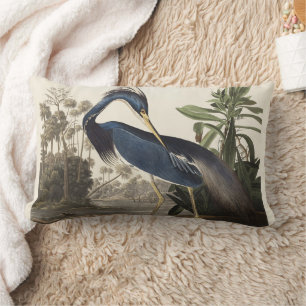Vintage Audubon Louisiana Heron Bird Art Lumbar Pillow