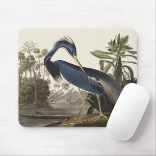 Vintage Audubon Louisiana Heron Bird Art Mouse Pad