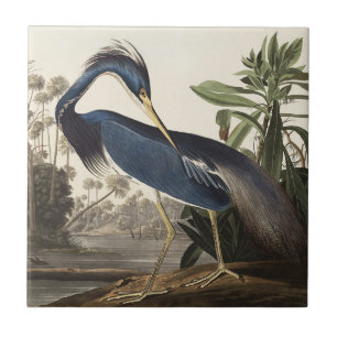Vintage Audubon Louisiana Heron Bird Art Tile