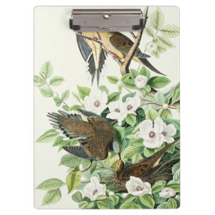 Vintage Audubon Mourning Dove Bird Flower Art Clipboard