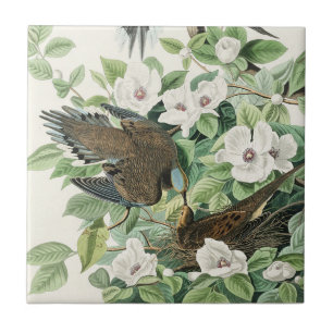Vintage Audubon Mourning Dove Bird Flower Art Tile