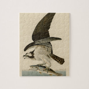 Vintage Audubon Osprey Bird Painting Gift Jigsaw Puzzle