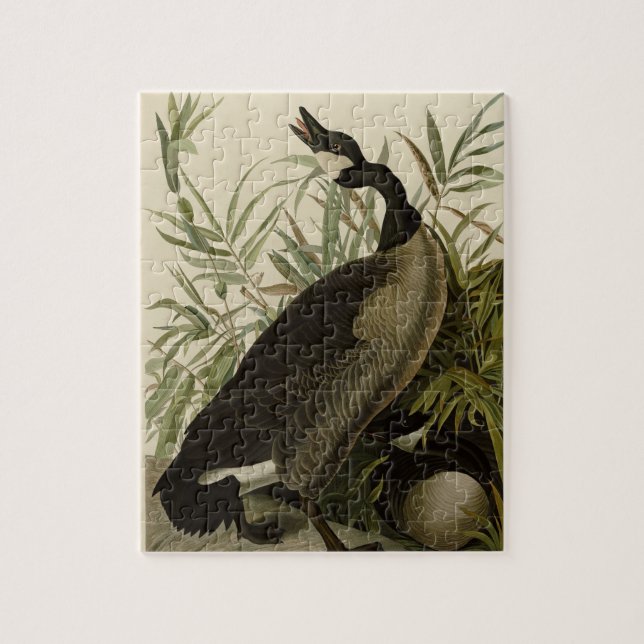 Vintage Audubon Painting Canada Goose Jigsaw Puzzle (Vertical)