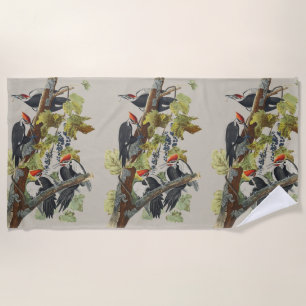 Vintage Audubon Pileated Woodpecker Bird Art Beach Towel