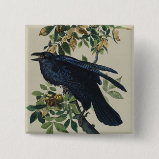 Vintage Audubon Raven Bird Nature Art 2 Inch Square Button