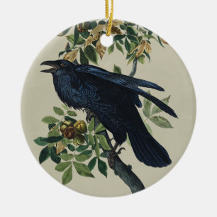 Vintage Audubon Raven Bird Nature Art Ceramic Ornament