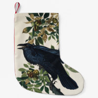 Vintage Audubon Raven Bird Nature Art