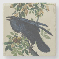 Vintage Audubon Raven Bird Nature Art