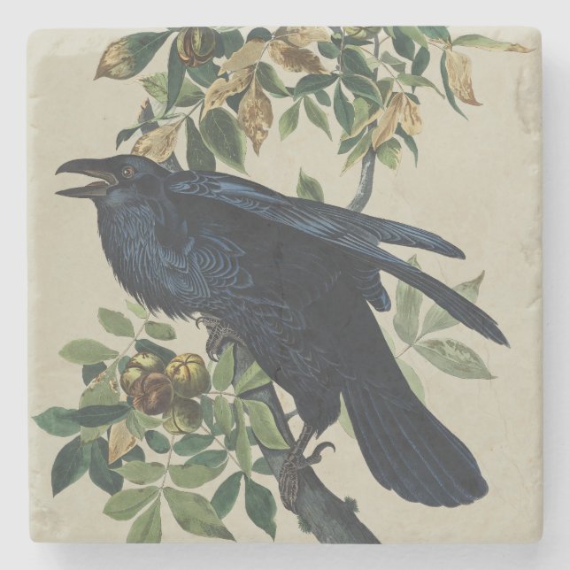 Vintage Audubon Raven Bird Nature Art Stone Coaster (Front)