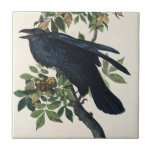 Vintage Audubon Raven Bird Nature Art Tile<br><div class="desc">This striking masterpiece, Common Raven (Plate 101), is a standout illustration from John James Audubon’s monumental 19th-century work, The Birds of America. Audubon, the premier American naturalist, masterfully depicts the raven’s glossy, jet-black plumage with incredible detail, perched amidst the lush green leaves and ripening nuts of a Shell-bark Hickory tree....</div>