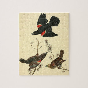 Vintage Audubon Red-Winged Blackbird Painting Gift Jigsaw Puzzle