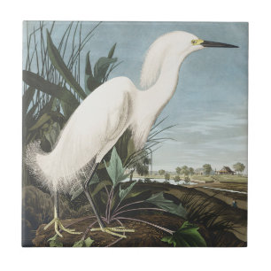 Vintage Audubon Snowy Heron White Egret Bird Art Tile