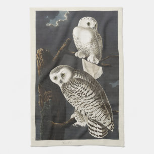 Vintage Audubon Snowy Owl Night Bird Art Kitchen Towel