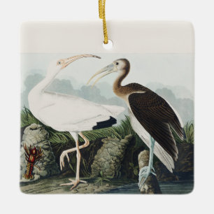 Vintage Audubon White Ibis Bird Nature Art Ceramic Ornament