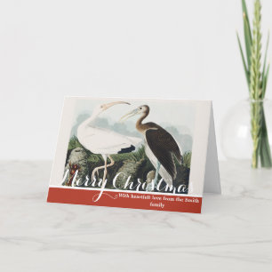 Vintage Audubon White Ibis Bird Nature Art Holiday Card