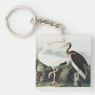 Vintage Audubon White Ibis Bird Nature Art Keychain