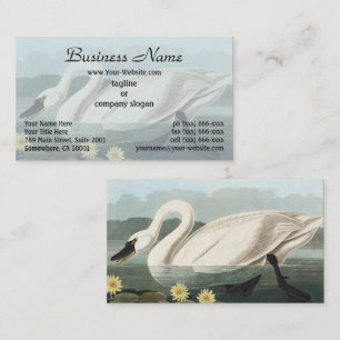 Vintage Audubon White Swan Water Lily Art Business Card