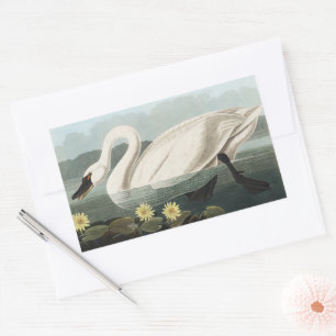 Vintage Audubon White Swan Water Lily Art Sticker