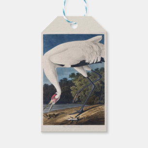 Vintage Audubon Whooping Crane Bird Nature Art Gift Tags